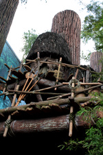 Enlarge photo 27