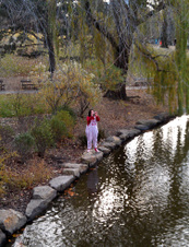 Enlarge photo 8