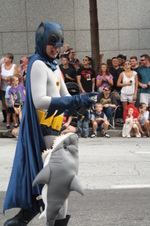 Enlarge photo 54