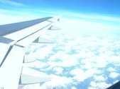 Airplane Trip