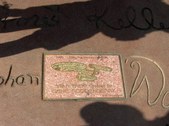 Enlarge photo 43