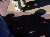 Enlarge photo 47