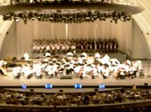 Enlarge photo 108