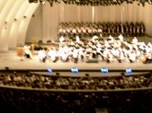 Enlarge photo 115