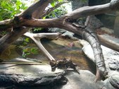 Enlarge photo 28
