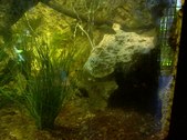Enlarge photo 30