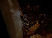 Enlarge photo 34