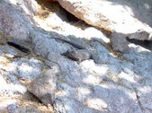 Enlarge photo 35