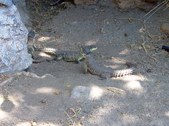 Enlarge photo 36