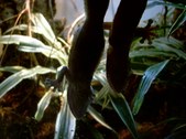 Enlarge photo 47