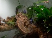 Enlarge photo 48