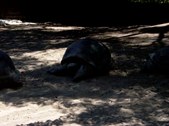 Enlarge photo 57