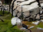 Enlarge photo 63