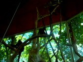 Enlarge photo 71