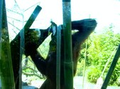 Enlarge photo 76