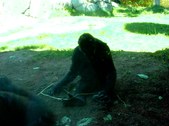 Enlarge photo 92