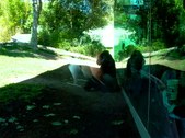 Enlarge photo 93