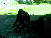 Enlarge photo 94