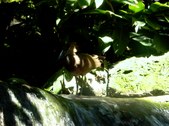 Enlarge photo 102