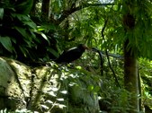 Enlarge photo 104