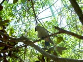 Enlarge photo 105