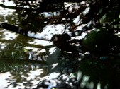 Enlarge photo 107