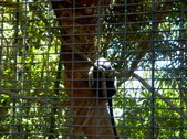 Enlarge photo 108