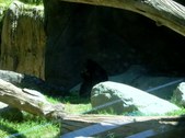 Enlarge photo 112