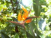 Enlarge photo 114