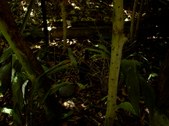 Enlarge photo 115