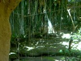 Enlarge photo 118