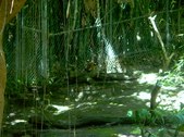 Enlarge photo 119