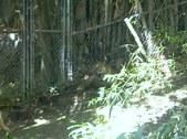 Enlarge photo 123