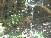 Enlarge photo 124