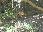 Enlarge photo 125