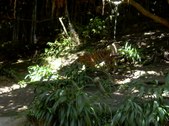 Enlarge photo 126