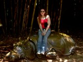 Enlarge photo 136