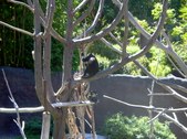 Enlarge photo 138
