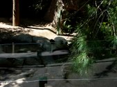 Enlarge photo 140