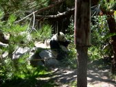 Enlarge photo 141