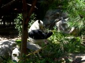 Enlarge photo 146