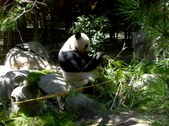 Enlarge photo 148