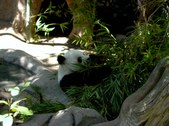 Enlarge photo 149