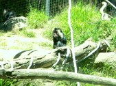 Enlarge photo 152