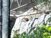 Enlarge photo 153