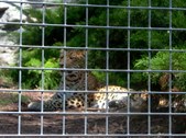 Enlarge photo 158