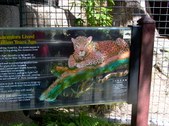 Enlarge photo 162