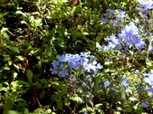 Enlarge photo 164