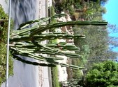 Enlarge photo 165