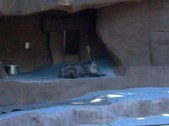 Enlarge photo 167